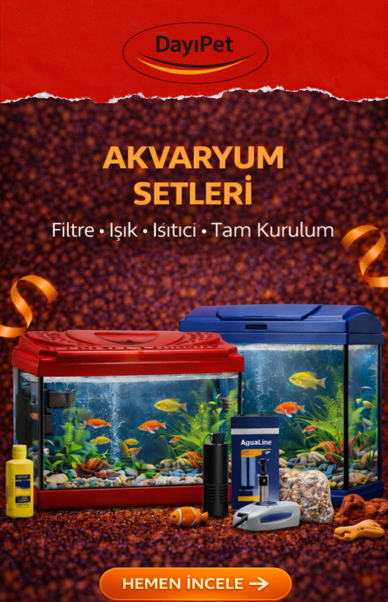 Akvaryum setleri filtre ışık ısıtıcı tam kurulum akvaryum paketi