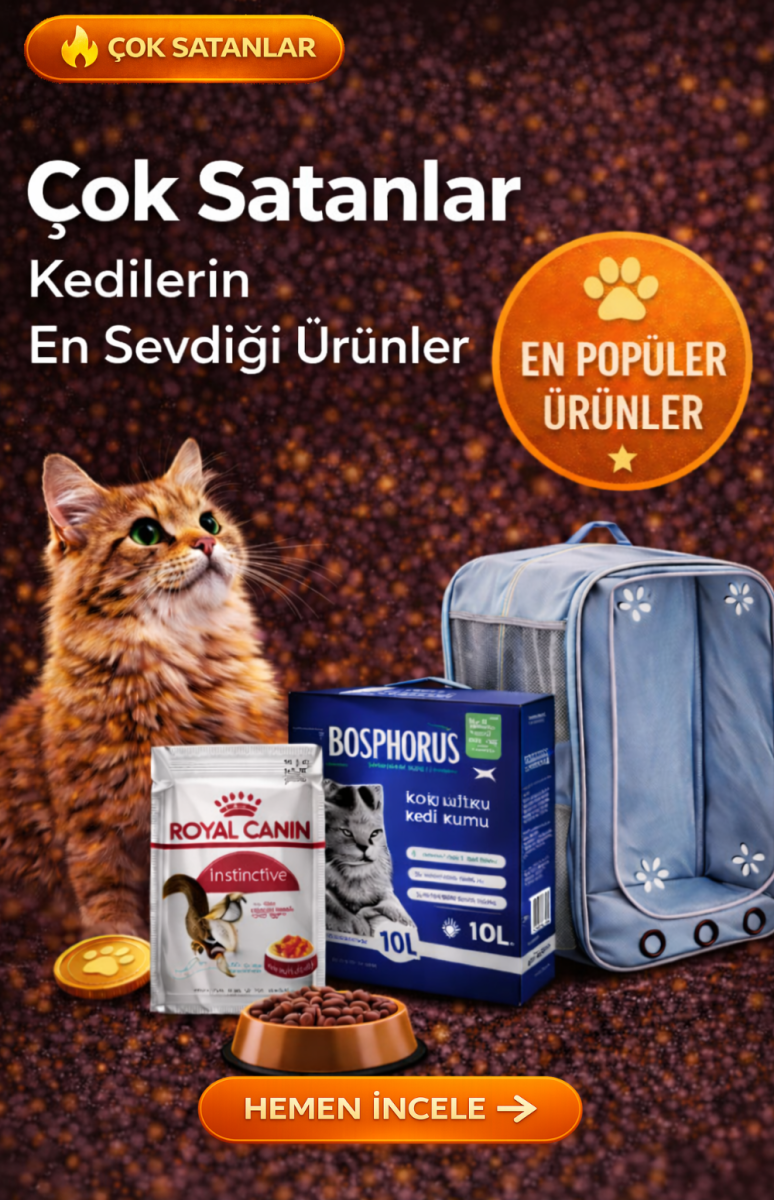 DayiPets çok satan kedi ürünleri ve popüler pet ürünleri